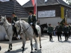 Umzüge 2008
