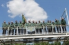 Schützenfest 2015 - Gruppenbilder